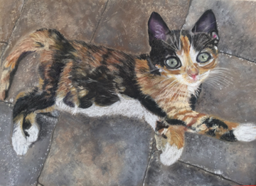 Calico -cat -on -stone 15x20
Original $420